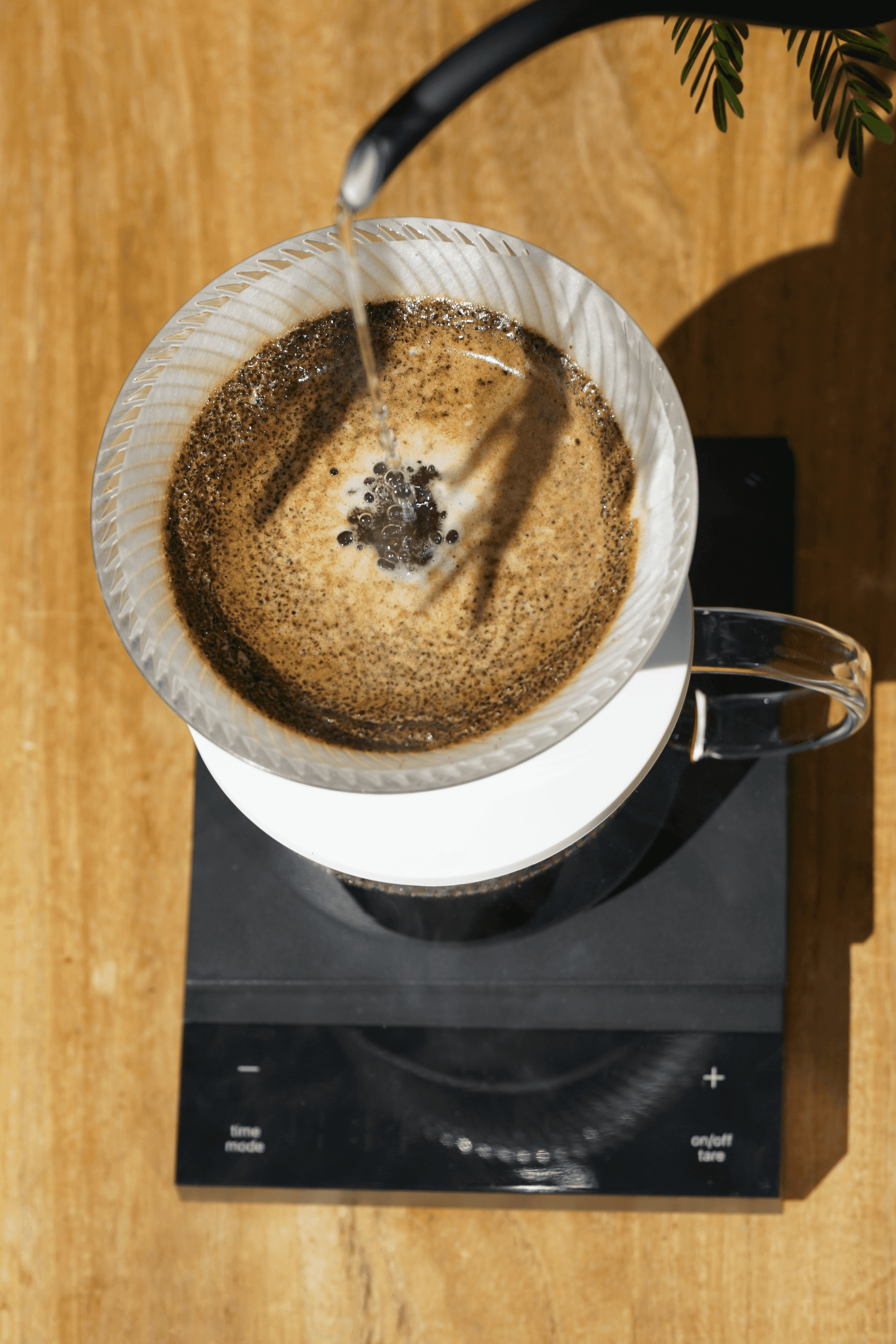 HARIO V60 Dripper NEO