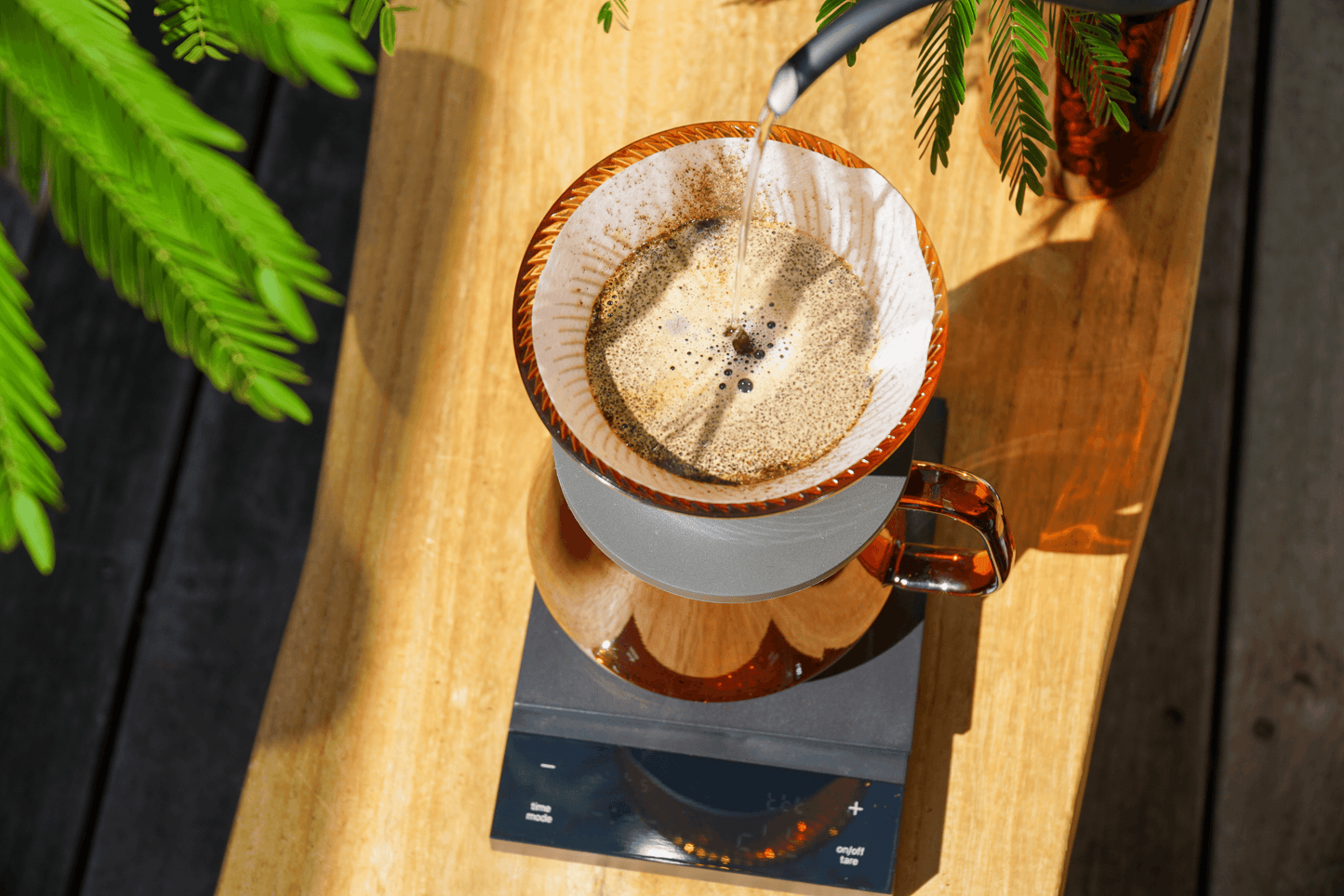 HARIO V60 Dripper NEO