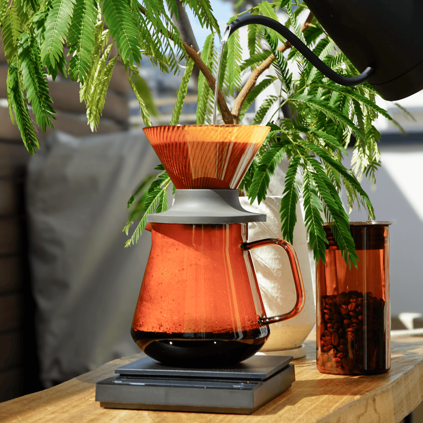 HARIO V60 Dripper NEO