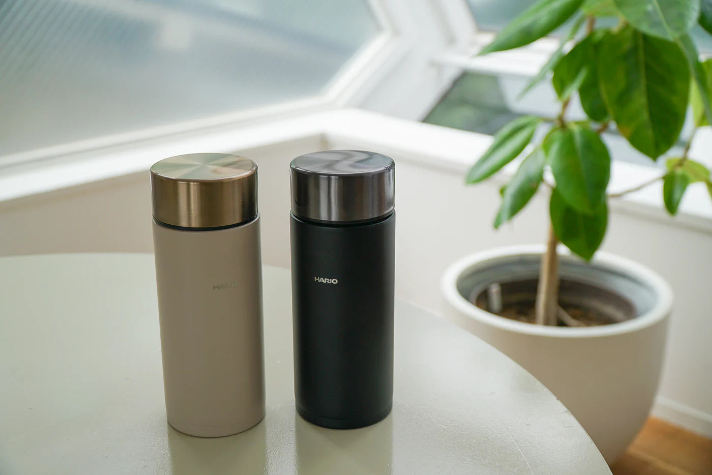 HARIO Stick Bottle - 350mL