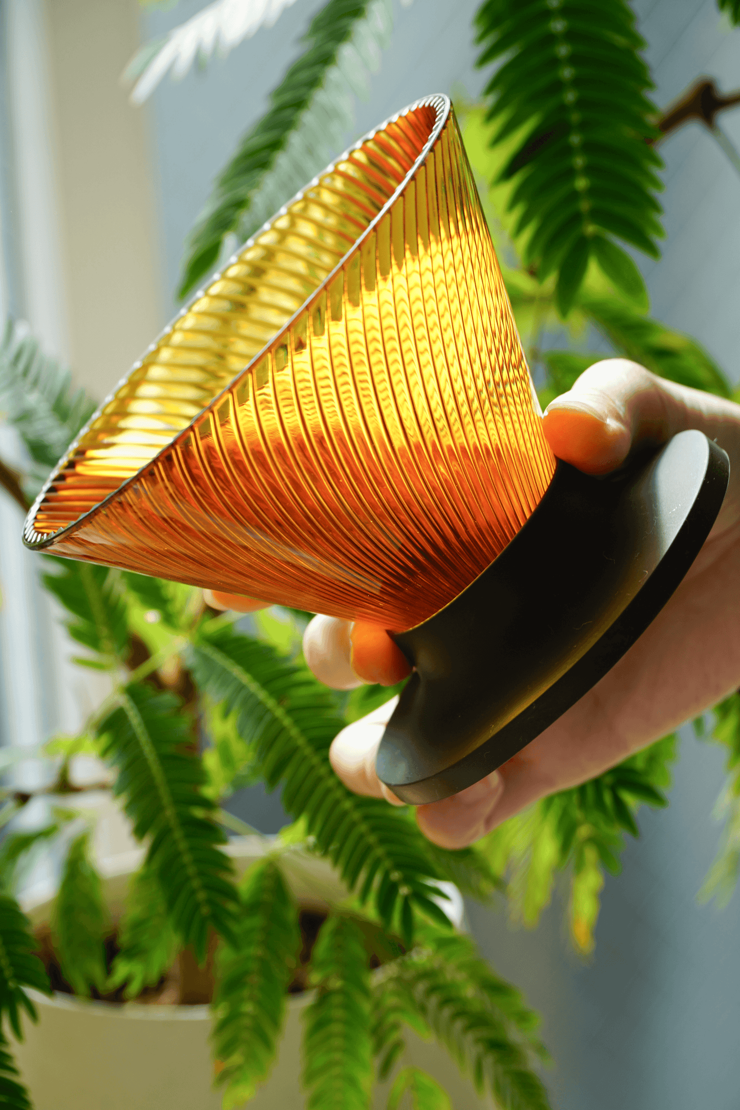 HARIO V60 Dripper NEO