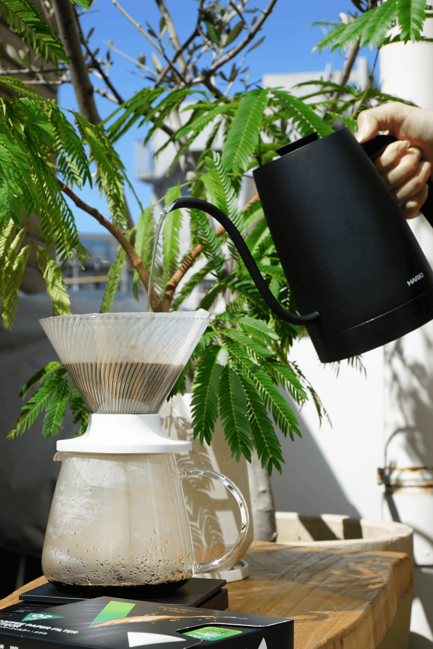 HARIO V60 Dripper NEO