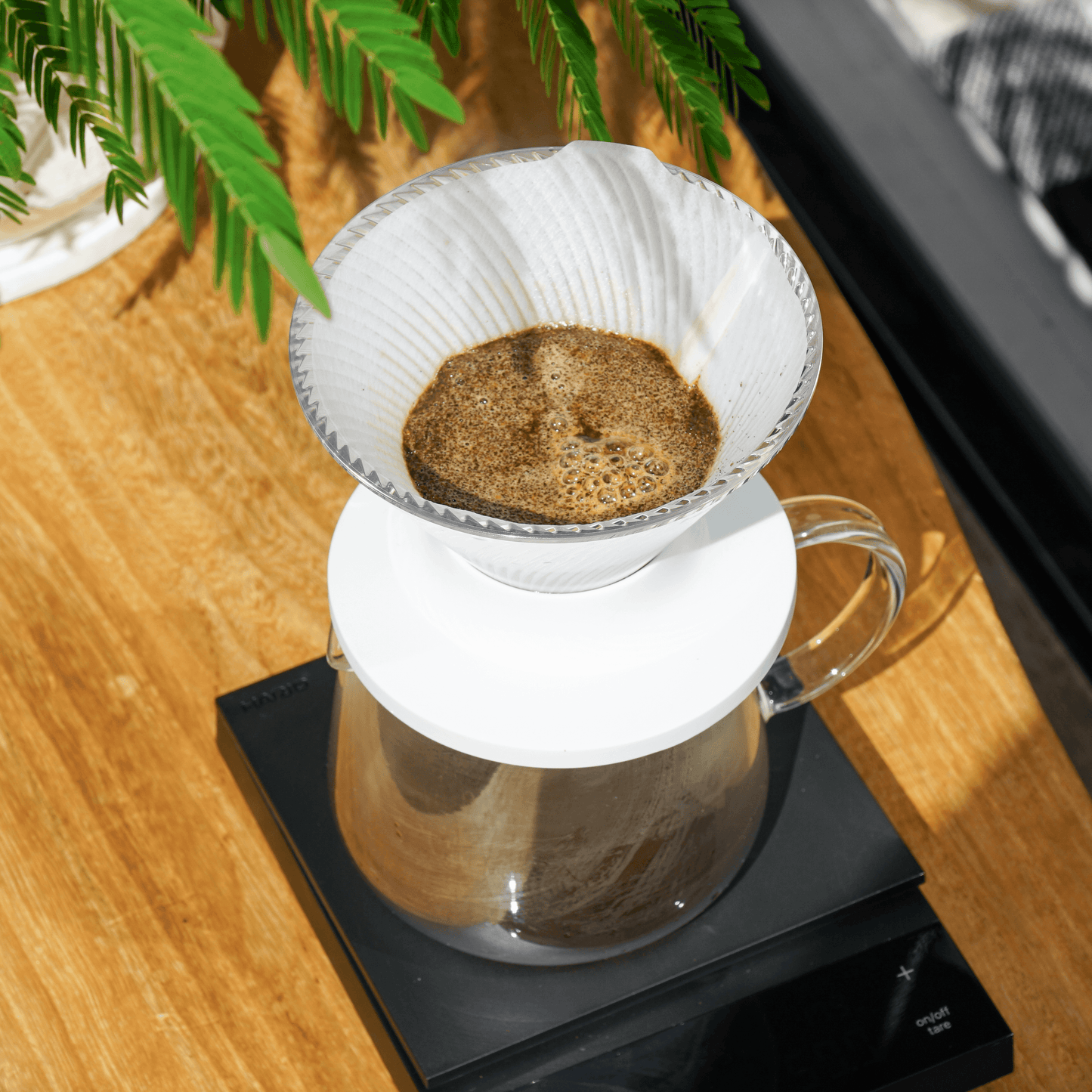 HARIO V60 Dripper NEO