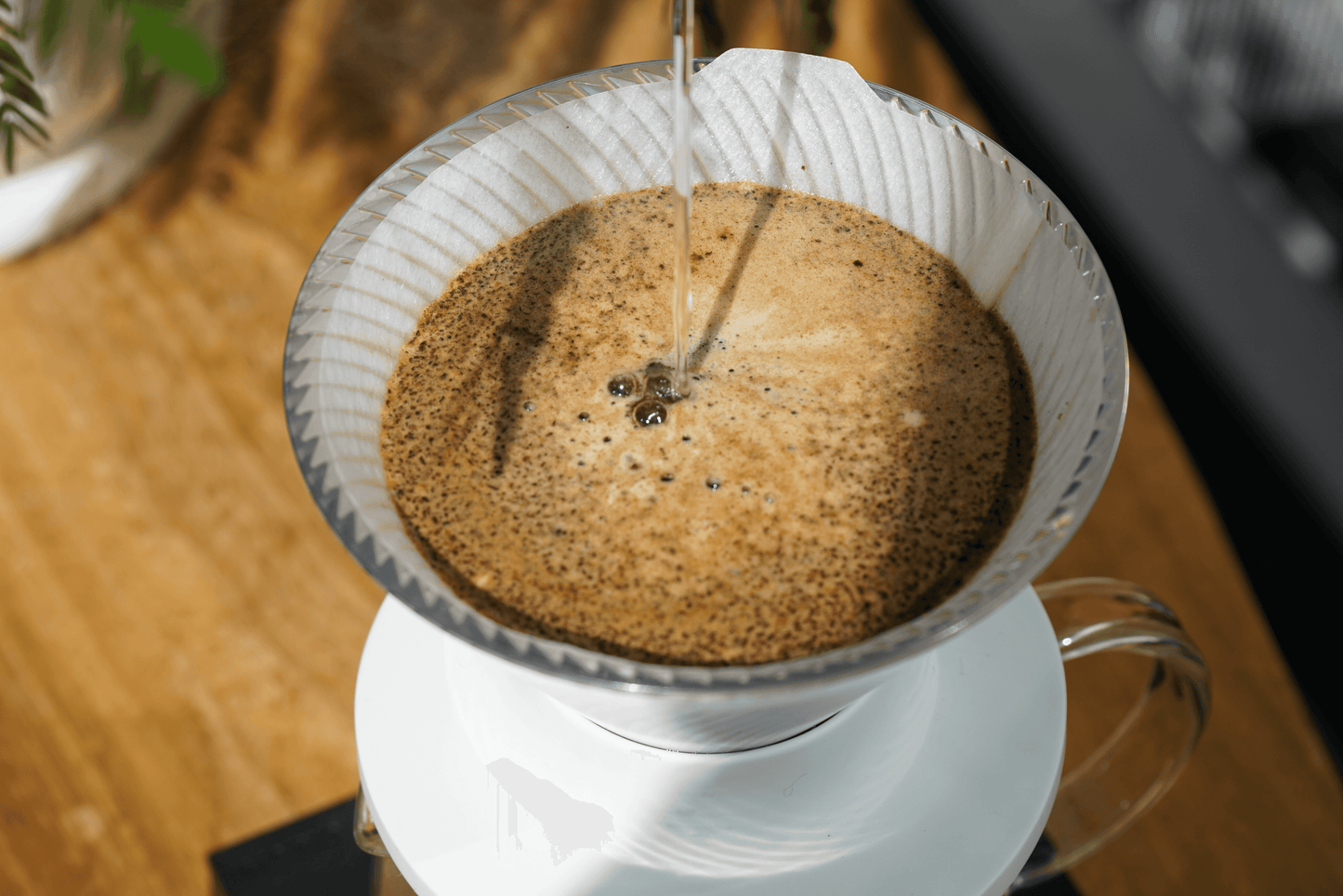 HARIO V60 Dripper NEO