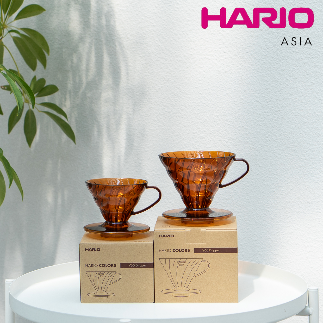 Hario Colors V60 Coffee Dripper - Amber