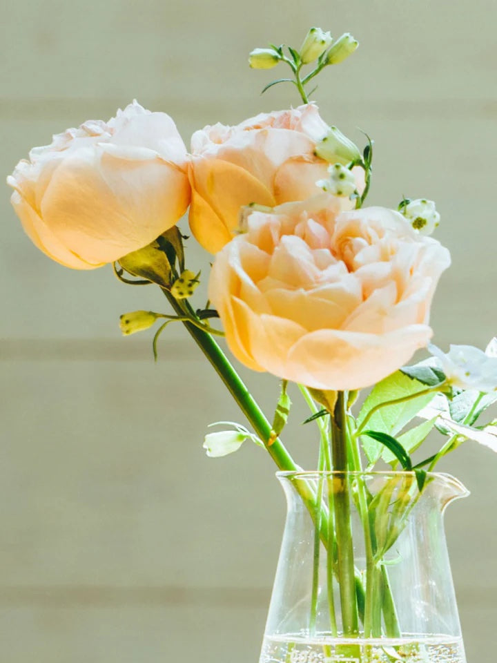 Hario Conical Beaker 300ml (CB-300-H32)